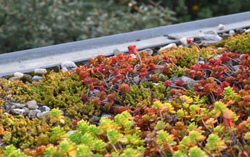 the cost of Skendleby Psalter green roof installation