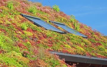 Skendleby Psalter living roof systems
