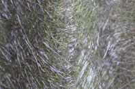 Skendleby Psalter fibreglass roof work